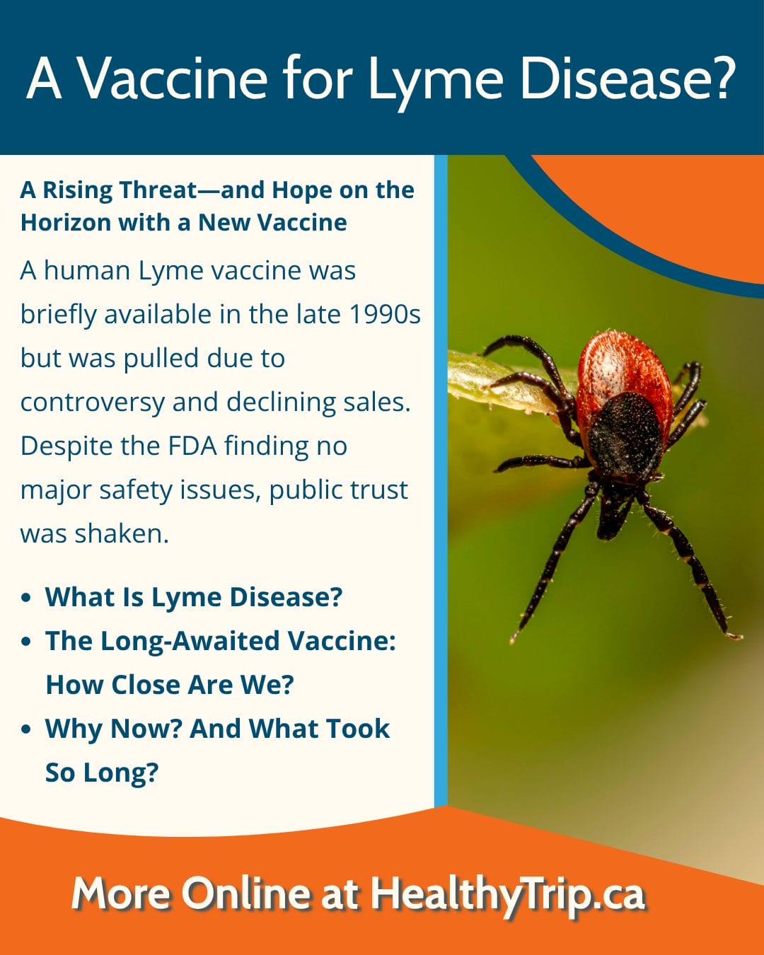 Lyme Disease in Canada: A Rising Threat—and Hope on the Horizon With a New Vaccine