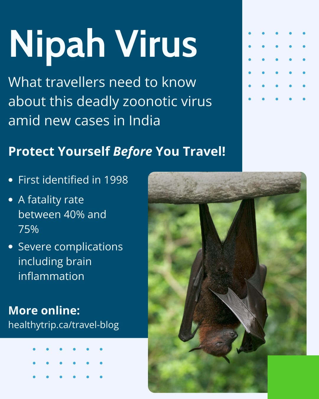 Nipah Virus: What Travellers Need to Know Amid New Cases in India