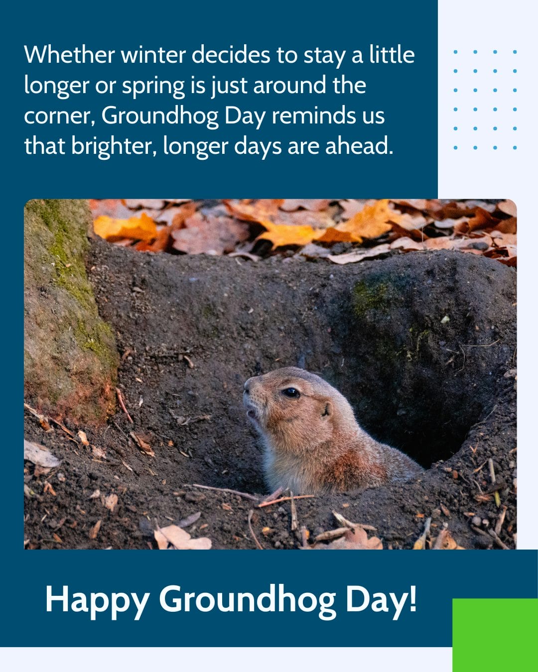 Happy Groundhog Day!